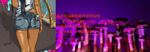 марки lsd Козельск