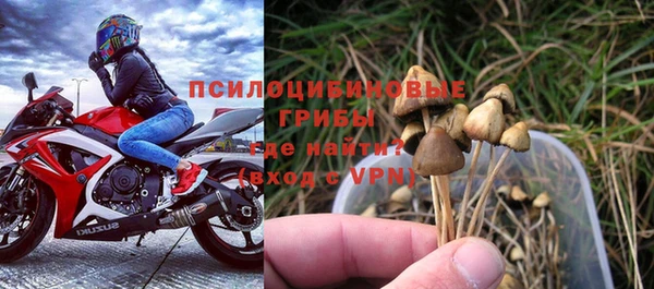марки lsd Козельск