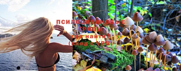 кокс Козловка