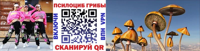 Псилоцибиновые грибы прущие грибы  Купить закладки  Высоковск 